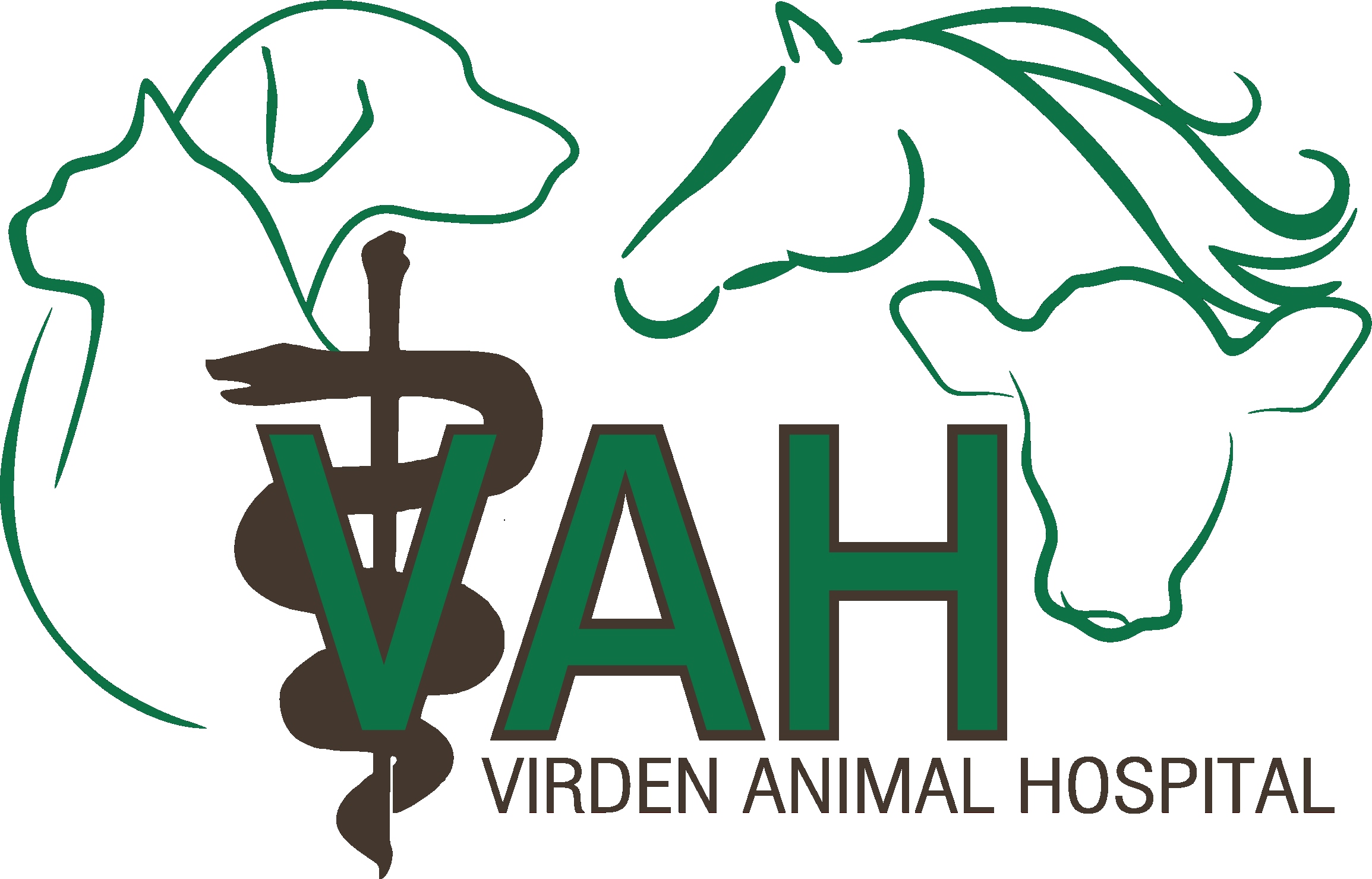 Associate Veterinarian at Virden Animal Hospital - Virden, MB - MVMA